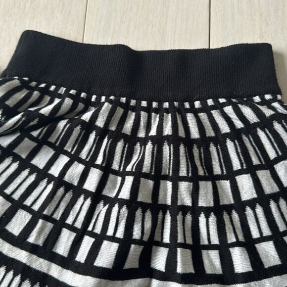 Knit Skirt - Picture 4 of 5